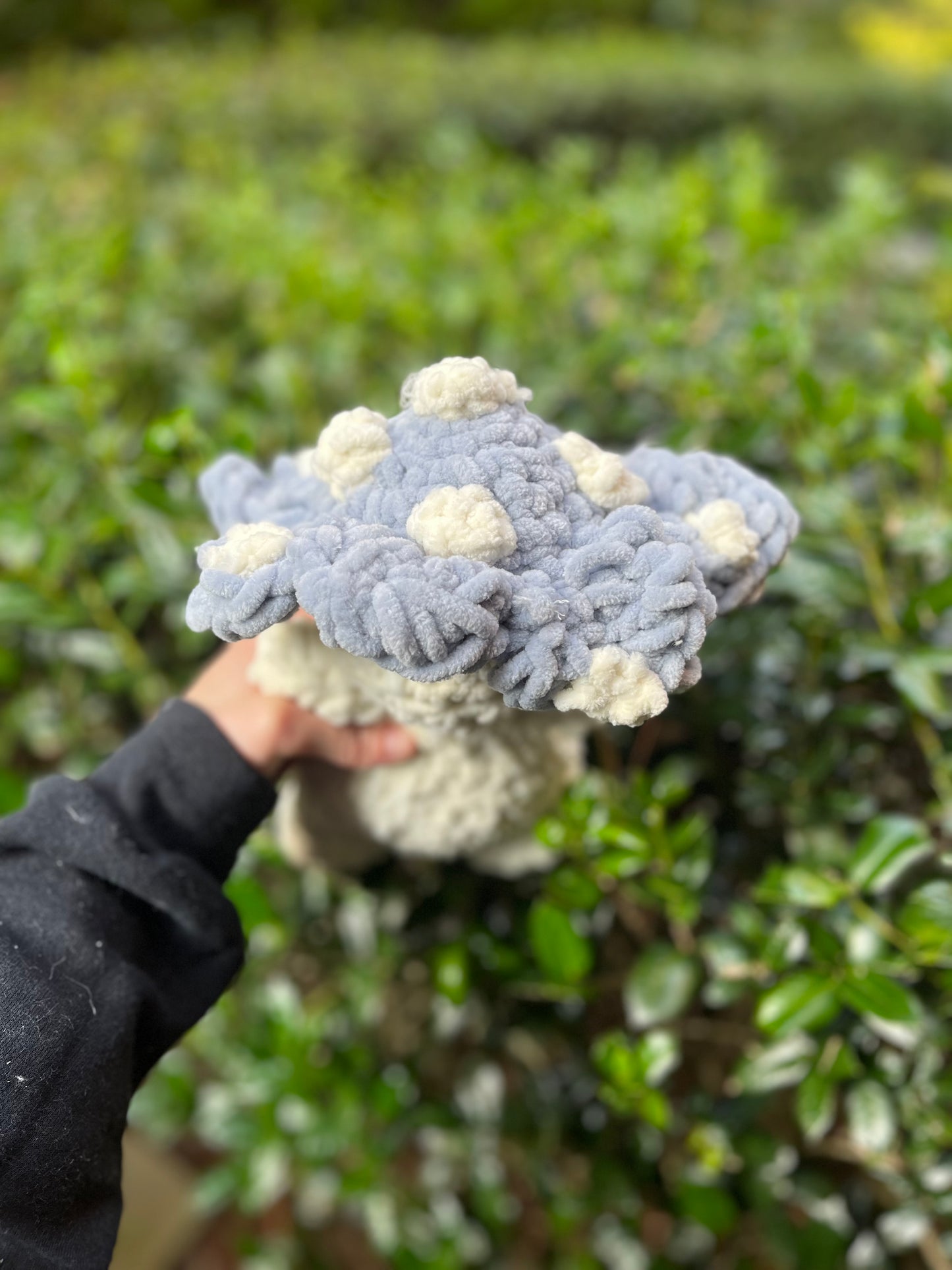 Mushroom Plushie