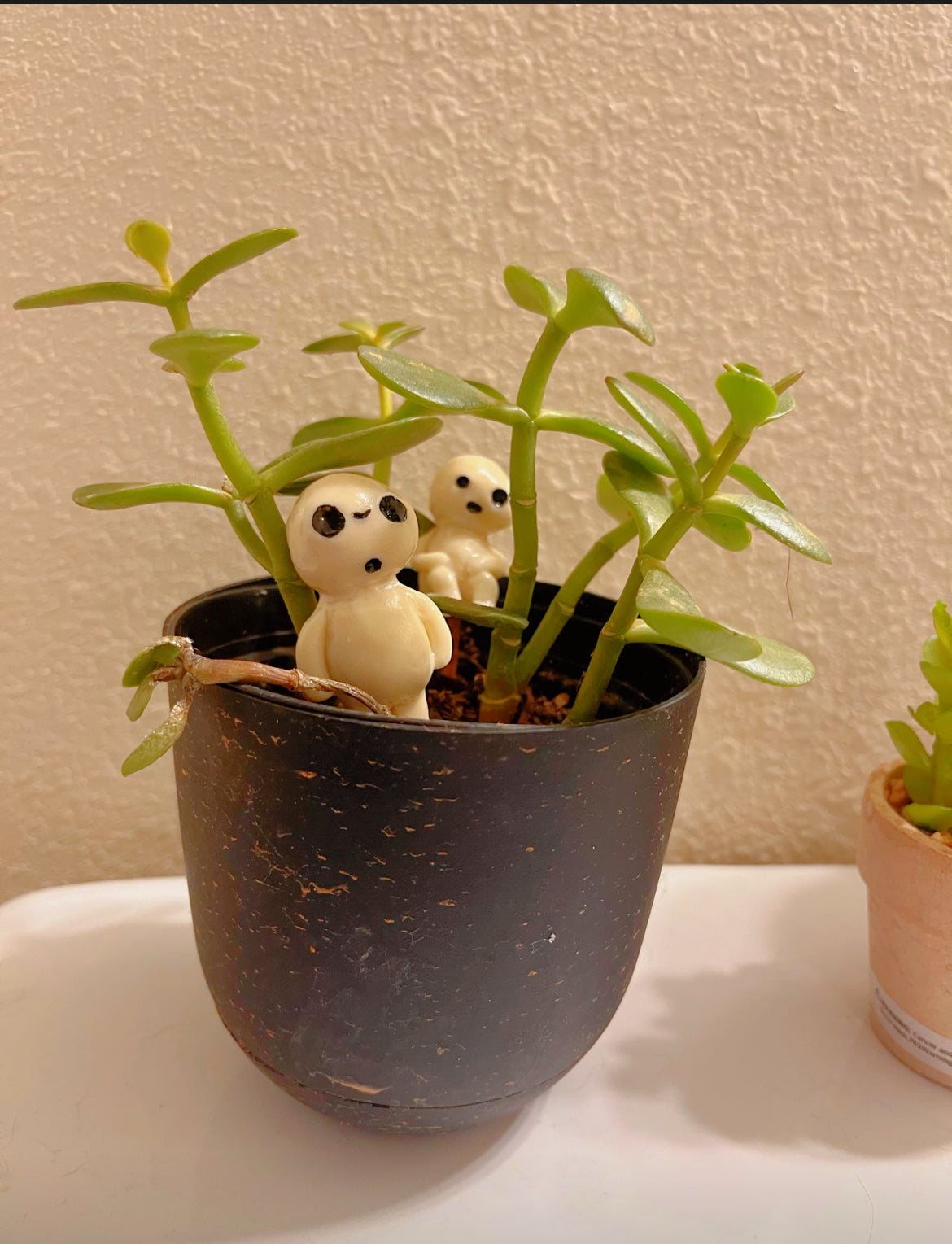 Kodama Plant Pals (Studio Ghibli)