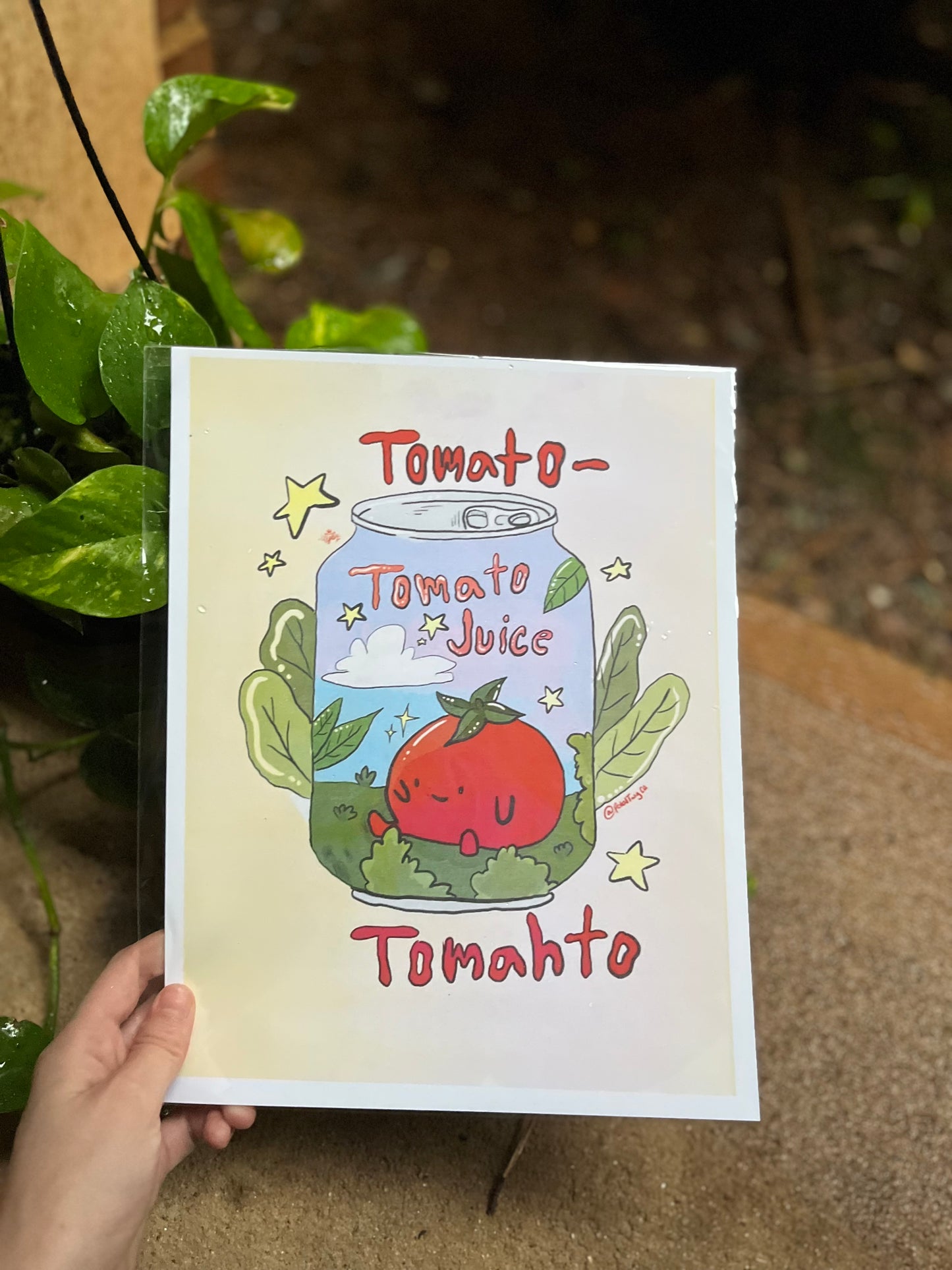 Tomato Juice