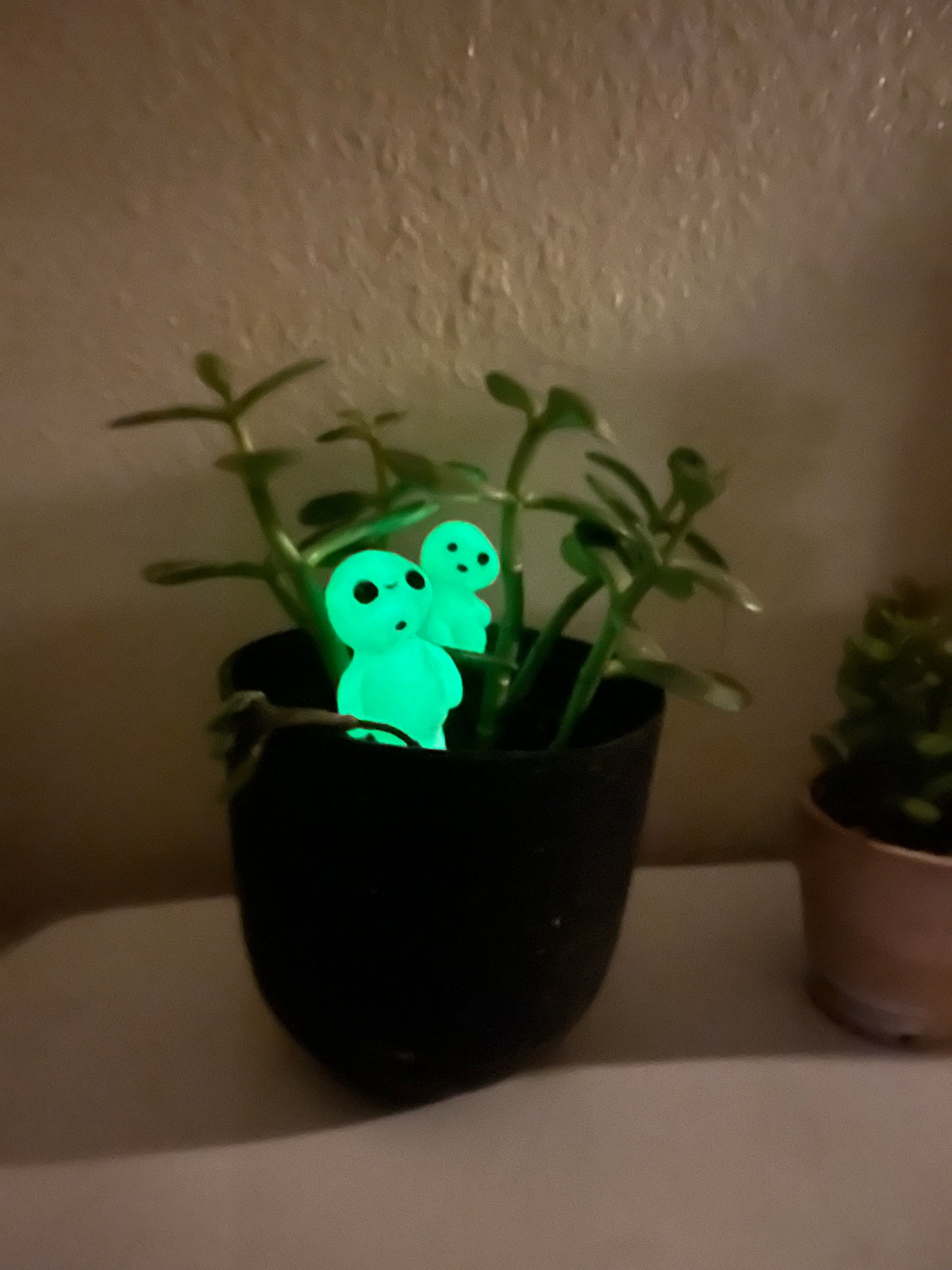 Kodama Plant Pals (Studio Ghibli)