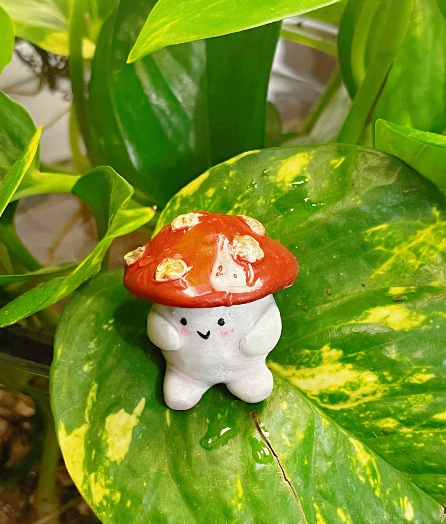 Little Mushroom